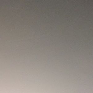 Meet your Posher, Leo